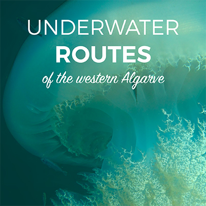 Underwater Routes of the Western Algarve-1