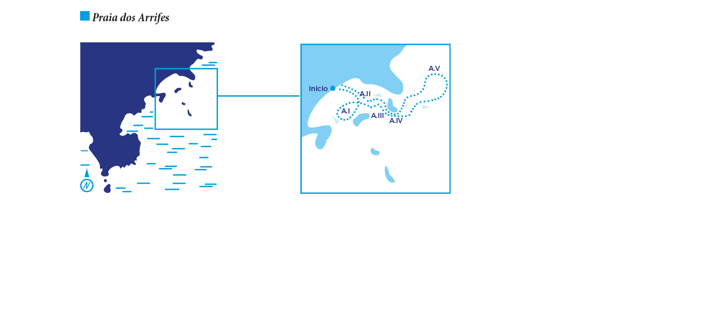 MAPA Praia dos Arrifes