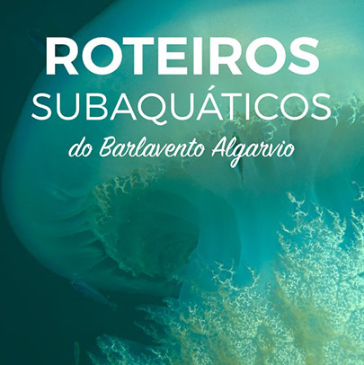 roteiros-subaquaticos